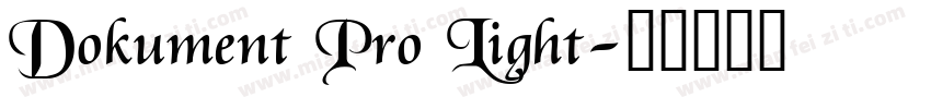 Dokument Pro Light字体转换